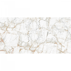 60x120 AMAZON BONE FULL LAPP - фото