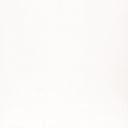 ABSOLUTE WHITE ZRXK0BR - фото