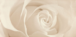 EFFECTA EFFECTA BEIGE INSERTO декор - фото