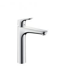 Hansgrohe Focus 31608000 - фото