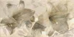  HERMES DEC HERMAION - фото