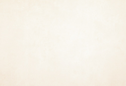 DREAM DREAM BLANCO - фото