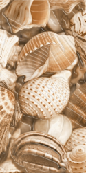 SEA BREEZE SHELLS E11421 декор - фото