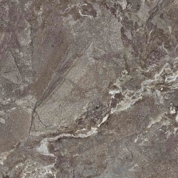 SNAKE STONE SNAKE STONE BRONCE F PC R SUGAR - фото