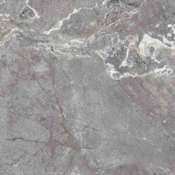 SNAKE STONE SNAKE STONE GREY F PC R SUGAR - фото