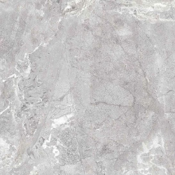 SNAKE STONE SNAKE STONE SILVER F PC R SUGAR - фото