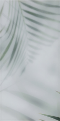 TAIGA TAIGA GLASS INSERTO C - фото